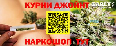 МДПВ Пугачёв
