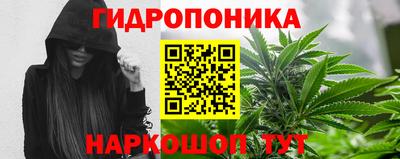 прущие крисы Пыть-Ях