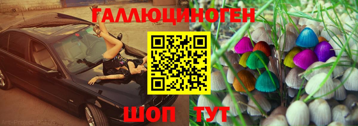 Галлюциногенные грибы ЛСД Отрадное