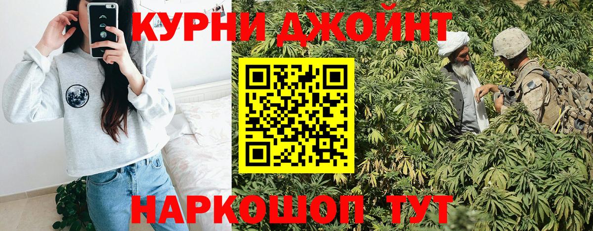 Каннабис планчик Отрадное